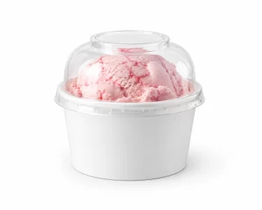 paper ice cream 235cc 8oz 2scoop wholesale