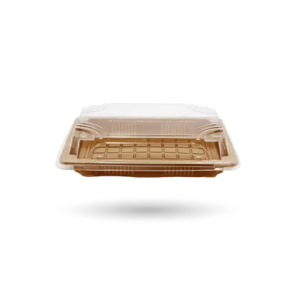 علب سوشي 184 128 مم ذهبي