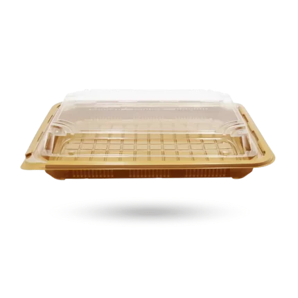 علب سوشي 265200 مم ذهبي