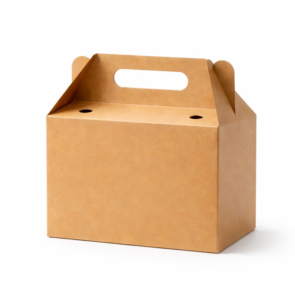 Large Kraft Gable Box