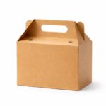 Large Kraft Gable Box