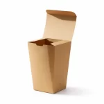 Large Noodle Box